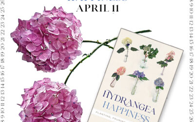 Countdown To Hydrangea Happiness April 11