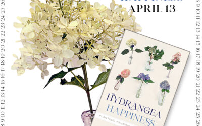 Countdown To Hydrangea Happiness ~ April 13