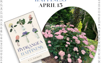 Countdown to Hydrangea Happiness – April 15