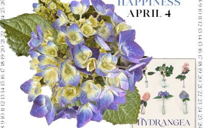 Countdown to Hydrangea Happiness April 4