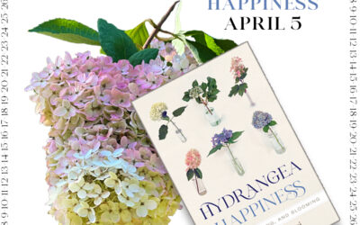 Steps to Hydrangea Happiness April 5