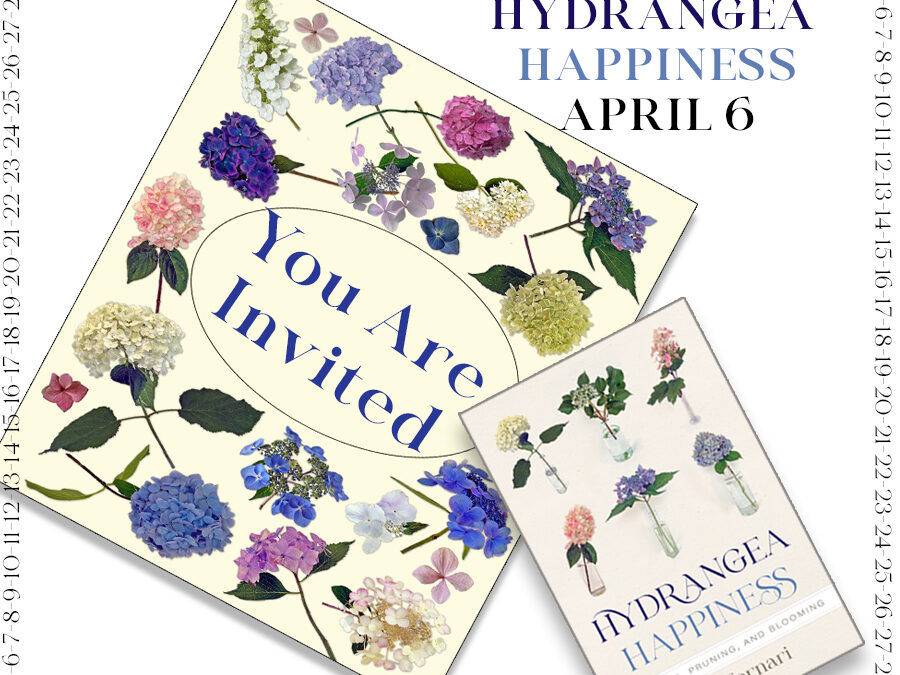 Countdown to Hydrangea Happiness ~ April 6
