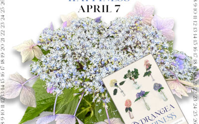 Steps to Hydrangea Happiness ~ April 7th