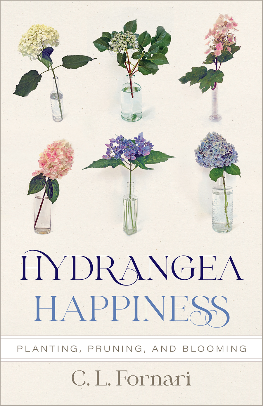 Fornari_cvr2.indd sand-soil-cover-400x549.x42899