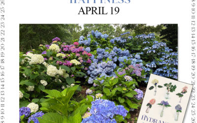Steps to Hydrangea Happiness – April 17, 18 and 19