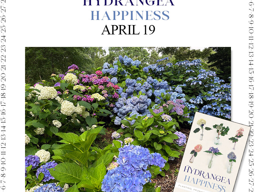 Steps to Hydrangea Happiness – April 17, 18 and 19