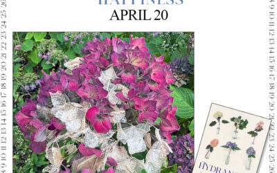 Countdown to Hydrangea Happiness April 20th