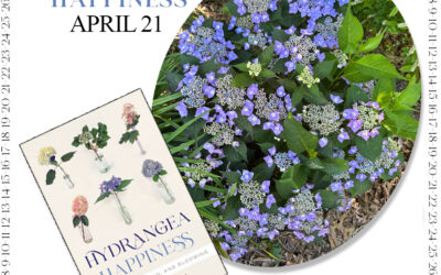Countdown to Hydrangea Happiness – April 21