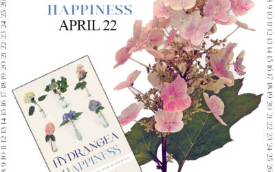 Countdown to Hydrangea Happiness – April 22