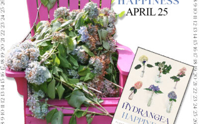 Countdown to Hydrangea Happiness – April 25