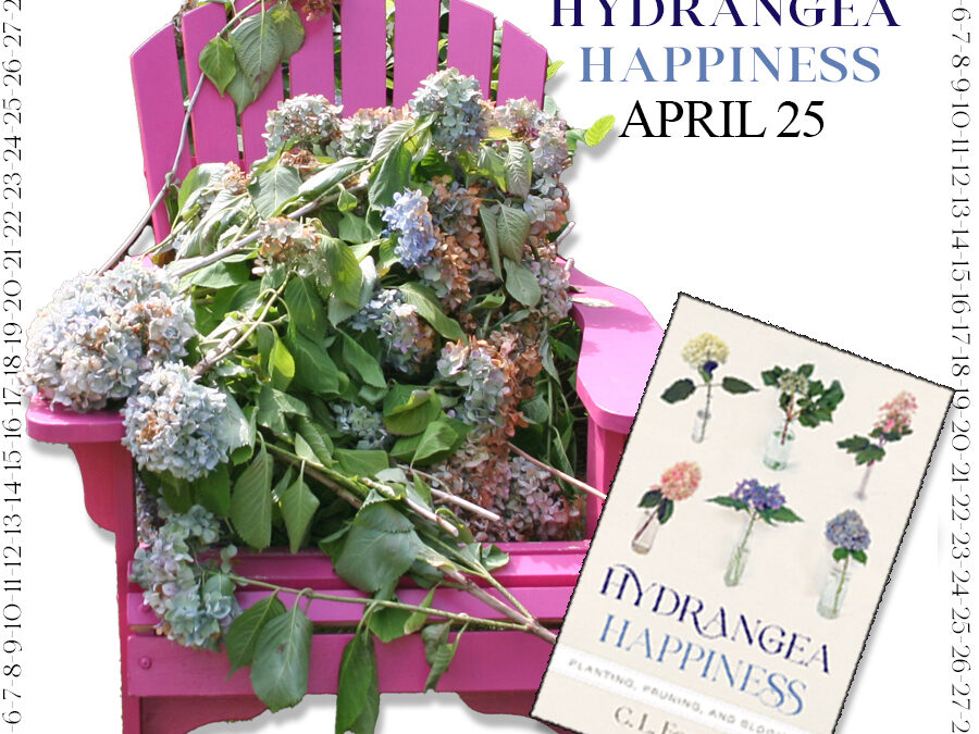 Countdown to Hydrangea Happiness – April 25