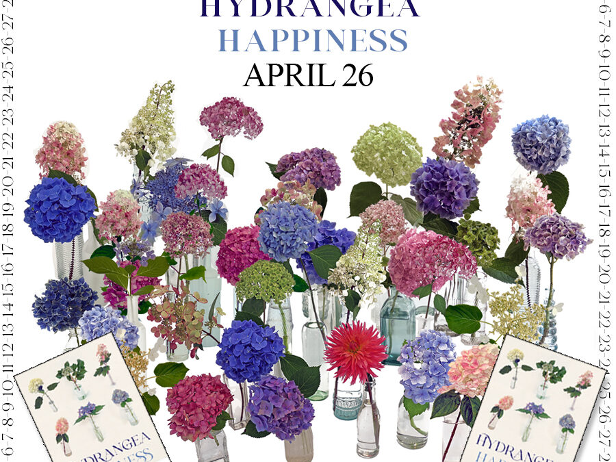 Countdown to Hydrangea Happiness