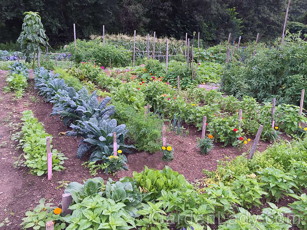 Veggie gardens don't have to be planted in long, straight rows. 