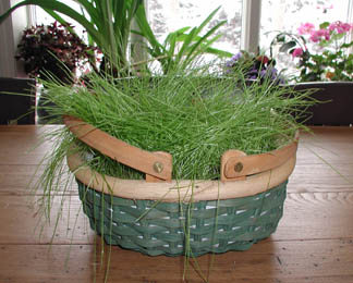 basket of grass