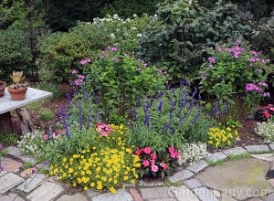 Every year I plant a different combination of annuals around the edge of this garden. I usually go for bright, bold colors in this bed, and in 2014 I used Bidens Goldilocks Rocks with coral Sunpatiens, blue Victoria annual Salvia, and Frosty Knight Lobularia. You KNOW this was a hit because this garden made the cover of my new book, The Cocktail Hour Garden!