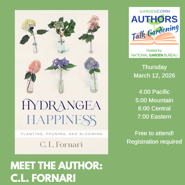 Class Osterville Image