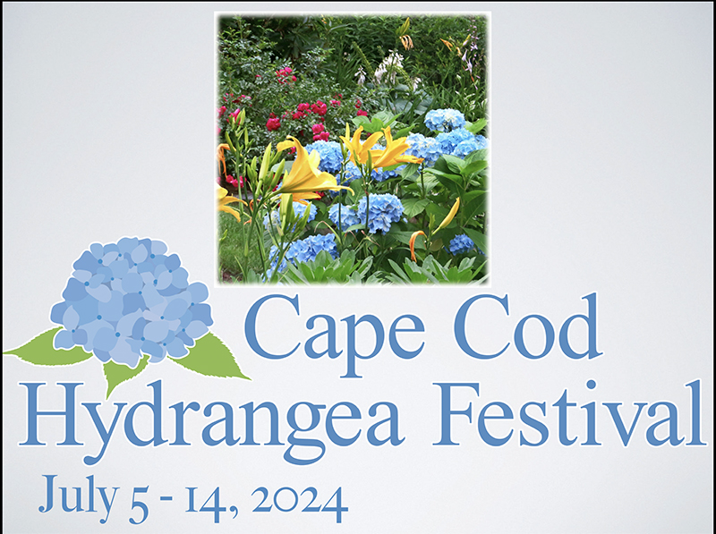 The 2024 Cape Cod Hydrangea Festival