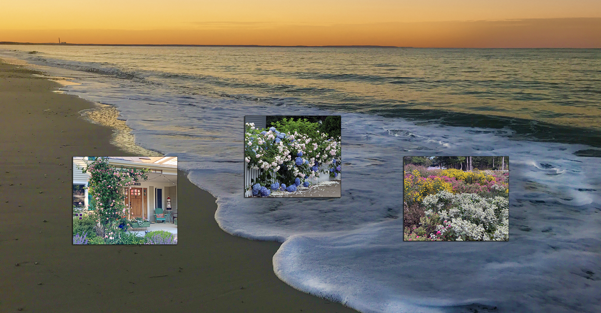 C.L.’s Cape Cod | GardenLady.com