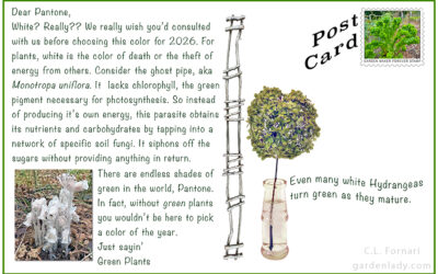 A Postcard To Pantone