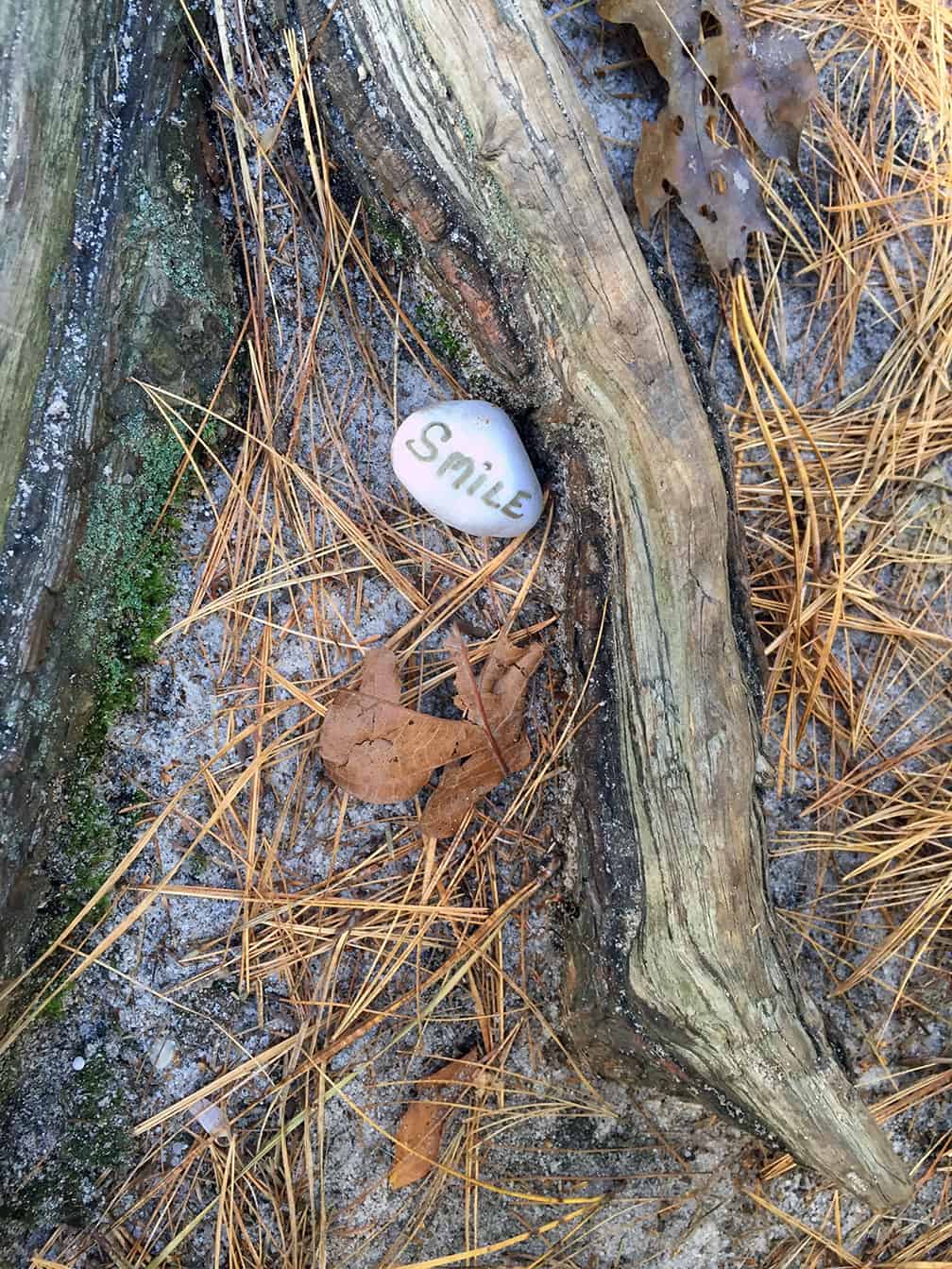 This is the first stone I came across in a woodland.