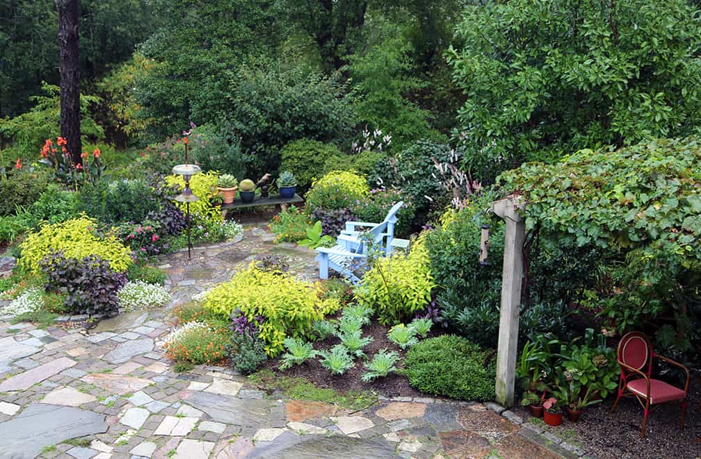 See the Fragrance/Bird garden in its fall glory. Learn what I do with the peony plants in this garden every fall.
