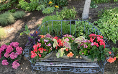 The Garden Lady’s Trends for 2026