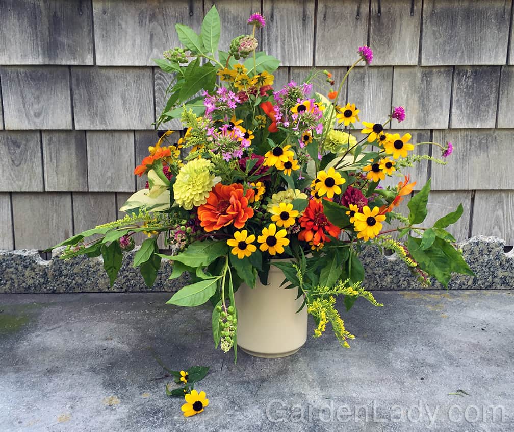 Here is a garden bouquet that includes some stems of Pokeweed. Pick them when the berries are green so that the ripe, black ones don't fall off and stain your tables or floors.
