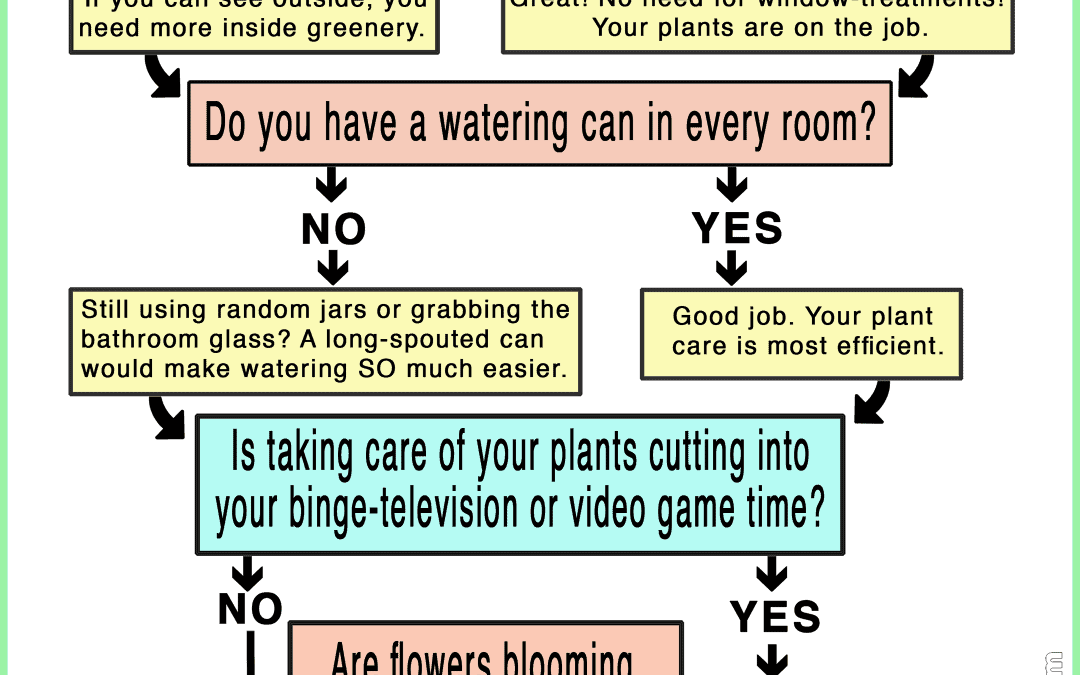 Do I Need More Houseplants? A Garden Lady Flow Chart