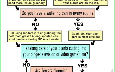Do I Need More Houseplants? A Garden Lady Flow Chart