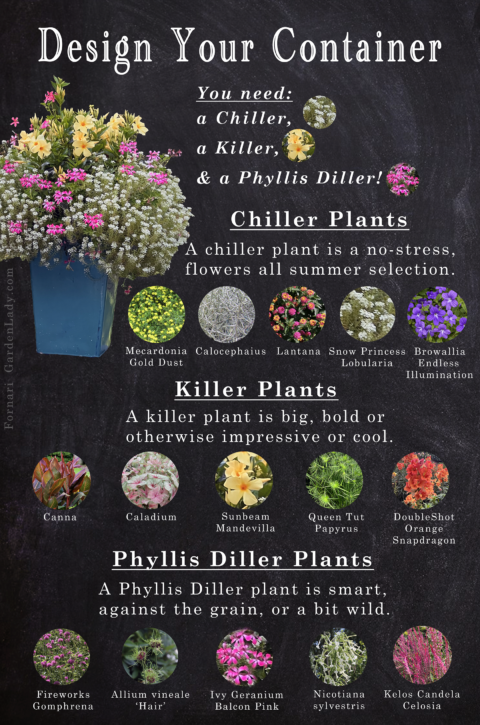 Having Fun With A New Container Recipe | GardenLady.com