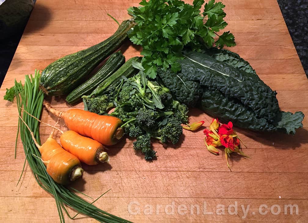 Today I found Costata Romanesco summer squash, kale, broccoli, carrots, parsley, chives and nasturtium buds. 