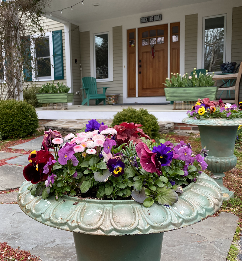Plant spring pots, window boxes or urns with assorted cool-weather flowering plants. Pansies are the first to choose.