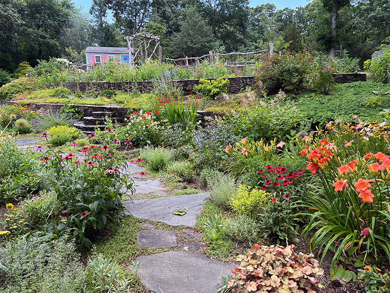 July Perennial Garden Tweaks & Touchups