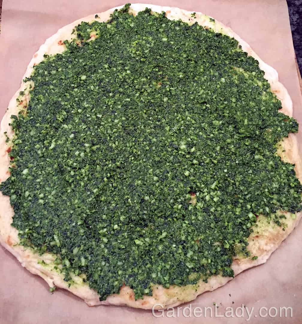 Spread the pesto on the crust. Any extra pesto can be put in a container, covered with olive oil and used for another dish in a day or two. You can also freeze patties of pesto on waxed paper so that you have them for the winter. After the patties are frozen, place them in a plastic bag.