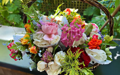 Inspiration and A Postcard From Color