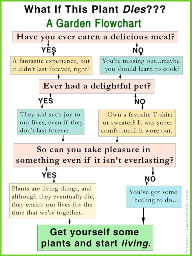 What If This Plant Dies?