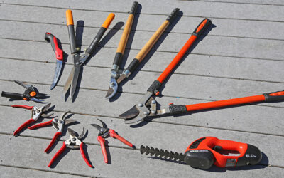 A Postcard From Plants About Pruning