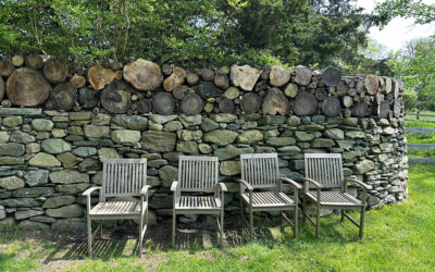 Spring Inspiration and Broken Pot Postcard