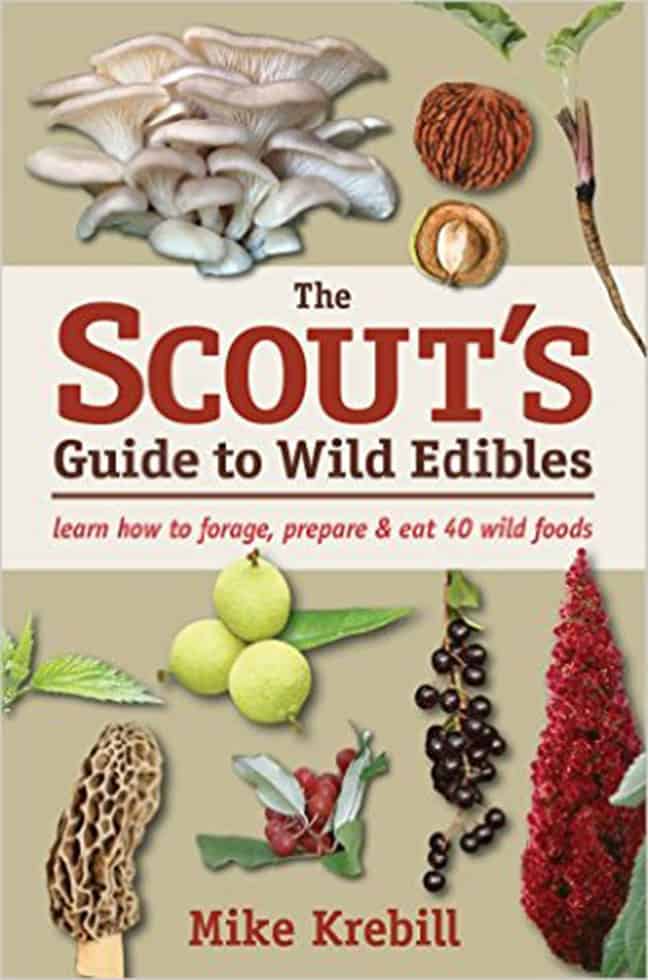 scouts_guide