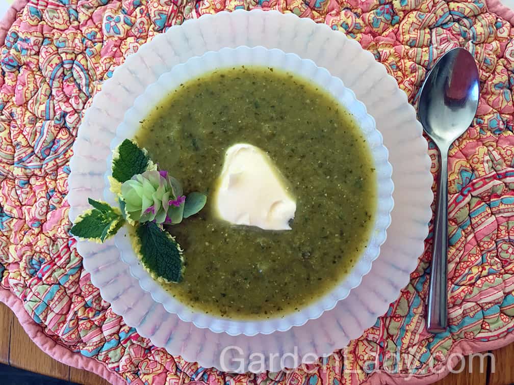 Cold Garden Veggie Soup