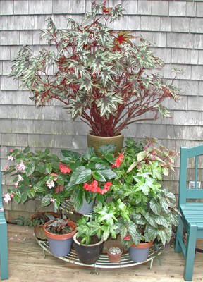 Shade Containers