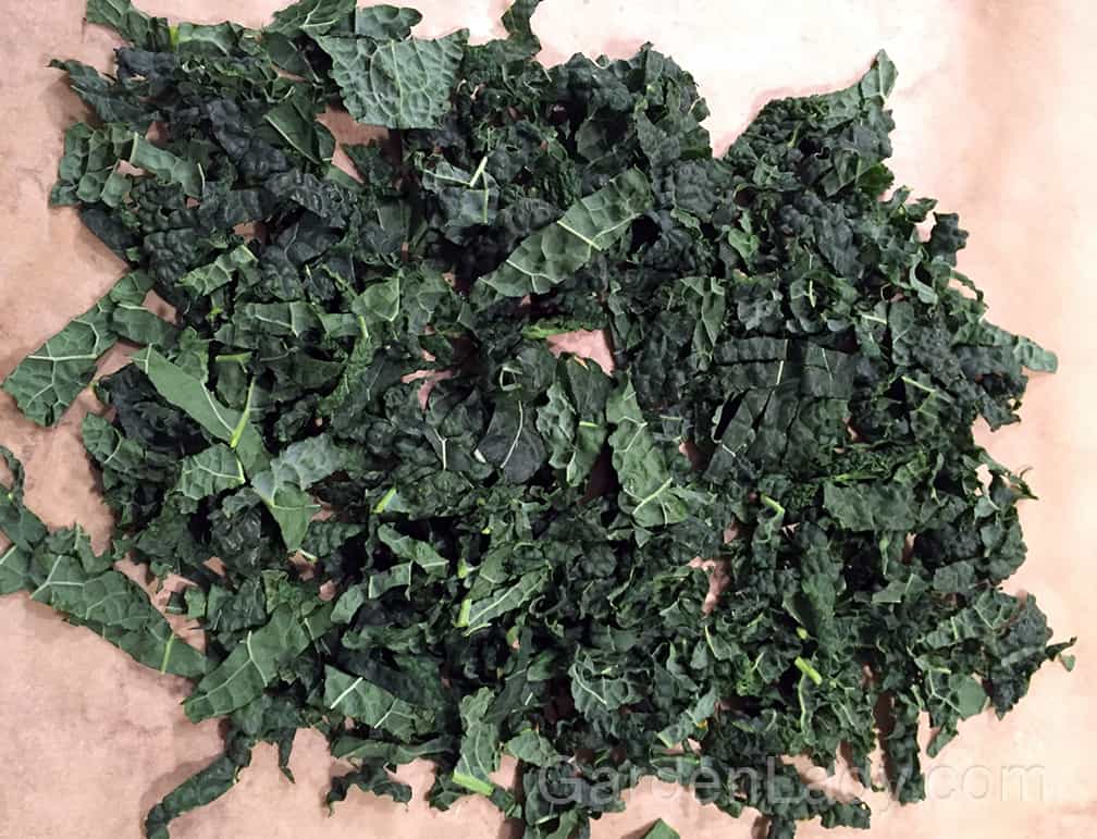 Place the shredded kale on the cookie sheet that is lined with parchment paper.