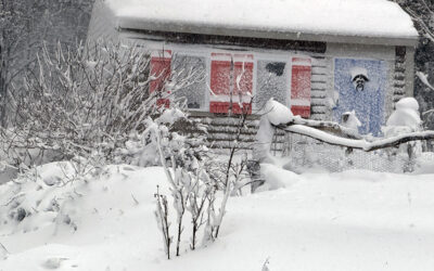 Dealing With Snow Storm Damage