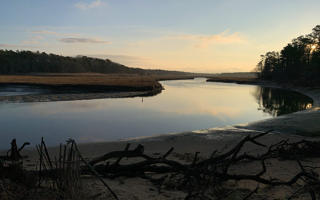 A Postcard on the Winter Solstice