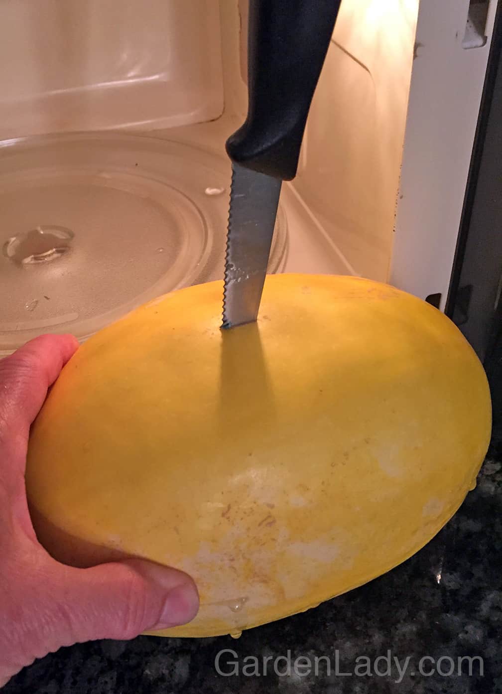 Pierce the squash with a knife in at least 3 places. Then it's less likely that it will explode in the microwave. There's still a slight chance....but less likely.
