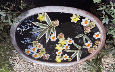 A Postcard About Rain and Design Ideas