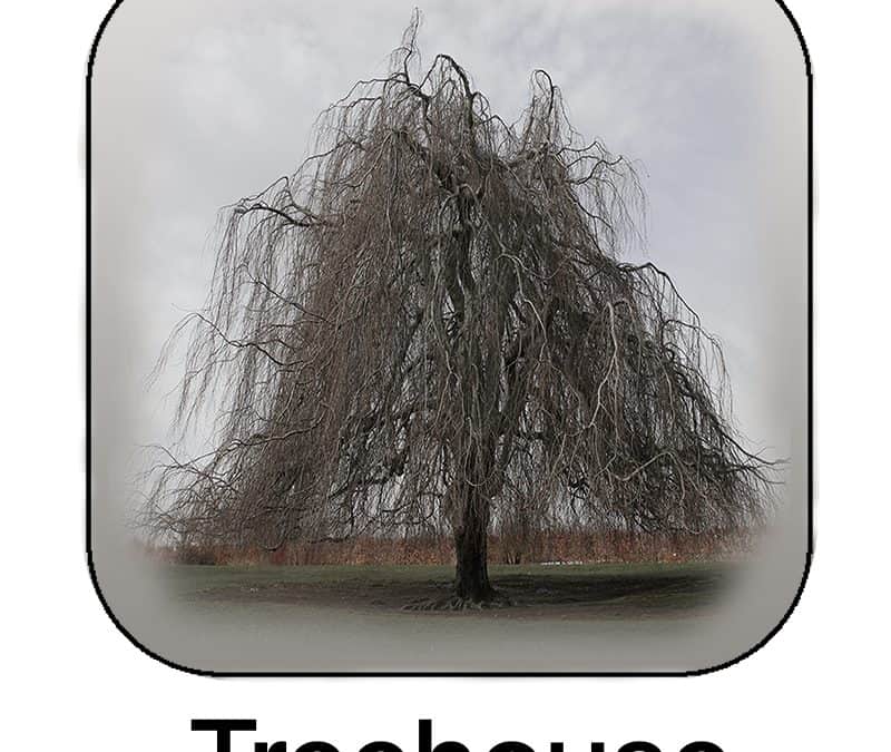 Treehouse ~ The New Social Networking App For Plants
