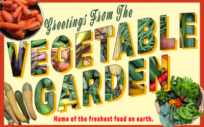 Growing Vegetables in Containers