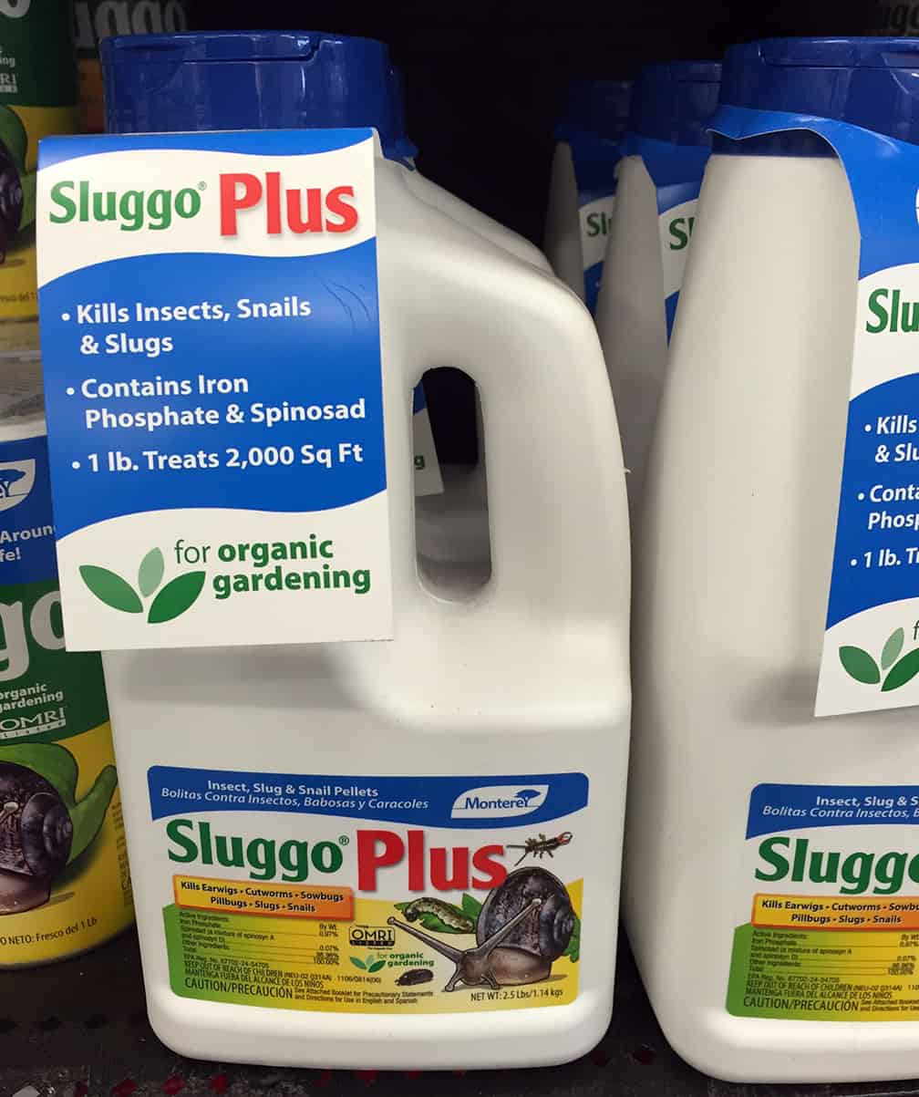 I find that Sluggo Plus is also helpful for slug, cutworm and earwig control. I sprinkle it around newly planted annuals and perennials as an added layer of protection in times when the plants seem to be under attack.