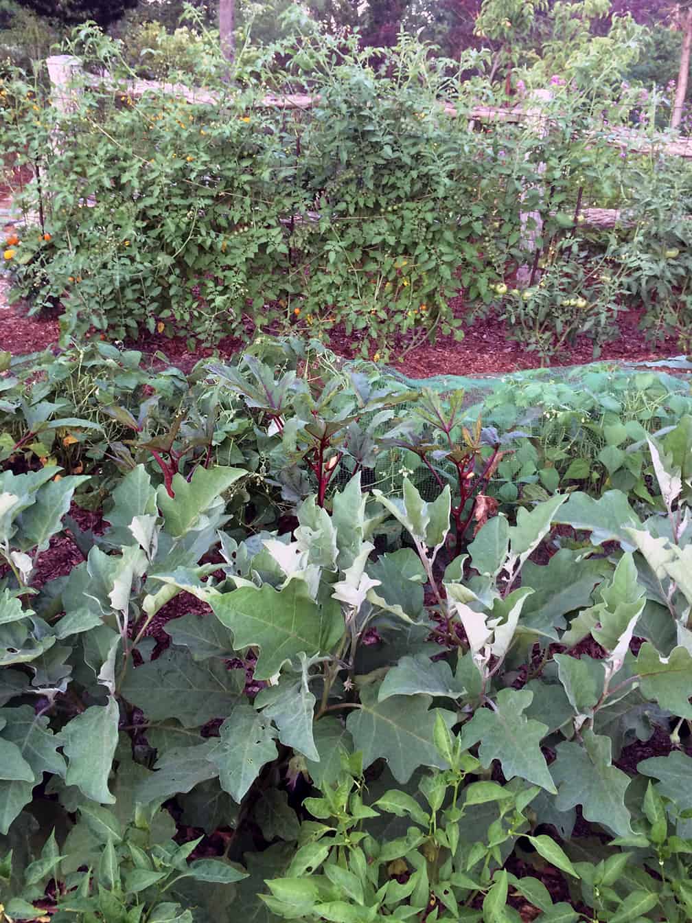 If you're growing vegetables, you need problem solvers!
